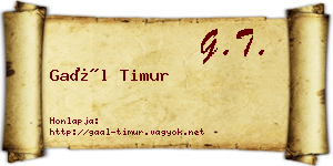 Gaál Timur névjegykártya